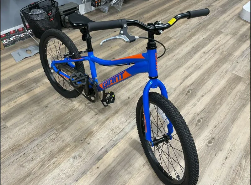 XTC Jr 20 inch Coaster Brake Bike Metallic Blue-2